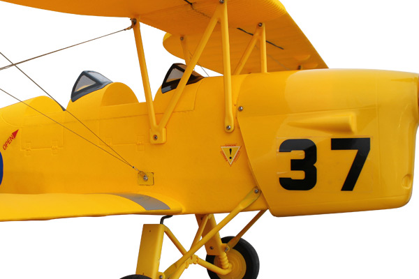 Dynam Tiger Moth ARTF Electric RC Bi-Plane