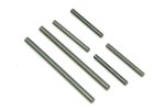 (image for) FTX BANZAI HINGE PINS (LONG & SHORT)