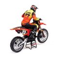 (image for) Losi 1/4 Promoto-MX RC Motorcycle RTR, FXR