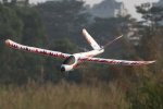 (image for) FMS VTail RTF 800mm Mini RC Glider