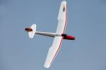 (image for) FMS MOA RTF 1500mm RC Glider