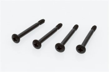 (image for) Outer Hinge Pin Set (12KT)