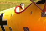 (image for) Dynam Albatros DVA ARTF WWI RC Bi-Plane