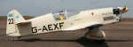 (image for) SEAGULL PERCIVAL MEW GULL (120)(1.88M) (SEA-98)
