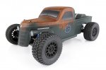 (image for) TEAM ASSOCIATED TROPHY RAT BRUSHLESS RTR TRUCK