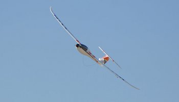 (image for) Sonic 185 Brushless 4CH 2.4G Brushless RC Glider