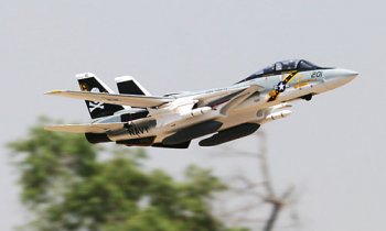 (image for) F-14 Tomcat Jolly Rogers 6 Ch 2.4GHz EDF Twin 60mm - Top Gun RC 