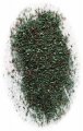 FINE SCATTER ROUGH PASTURE (JS19) FINE SCATTER ROUGH PASTURE (JS19)