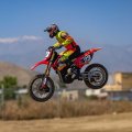 (image for) Losi 1/4 Promoto-MX RC Motorcycle RTR, FXR