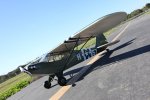 (image for) Top Gun Park Flite L-4 Grass Hopper 1.4m RTF Green