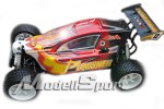 (image for) FTX Punisher 1/5 Scale 4wd RTR, RC Buggy with 23CC Petrol Engine