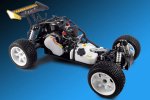 (image for) FTX Punisher 1/5 Scale 4wd RTR, RC Buggy with 23CC Petrol Engine
