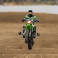 (image for) Losi 1/4 Promoto-MX RC Motorcycle RTR with Battery and Charger