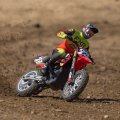 (image for) Losi 1/4 Promoto-MX RC Motorcycle RTR, FXR