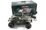 (image for) Carisma M10DT RTR Electric Volkswagen Beetle