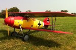Dynam Albatros DVA ARTF WWI RC Bi-Plane (image for) Dynam Albatros DVA ARTF WWI RC Bi-Plane