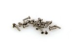 (image for) MINI TWISTER SCALE SCREW SET (PACK)
