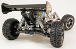 (image for) GV CAGE BUGGY 1/8 PAINTED/FC32/2CH