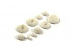 FTX MINI OUTBACK 2.0 COMPLETE GEAR SET (image for) FTX MINI OUTBACK 2.0 COMPLETE GEAR SET