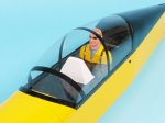 (image for) SEAGULL YAK 54 (SEA-53B)