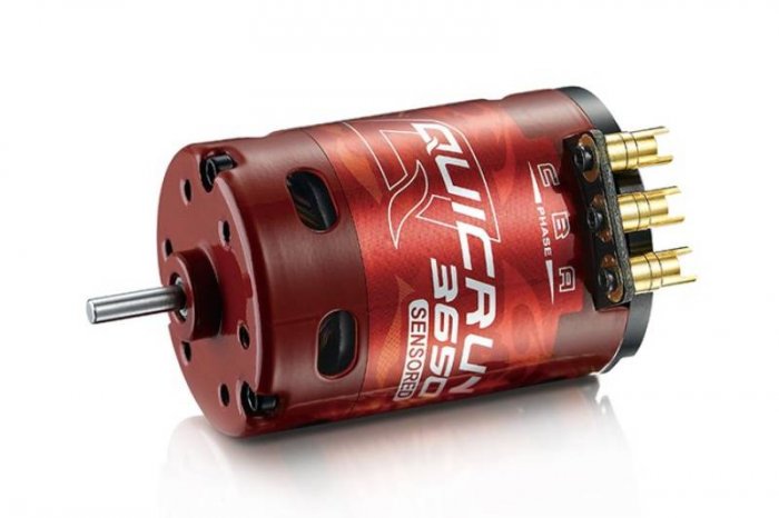 (image for) Hobbywing 30404305 QUICRUN Motor Brushless 3650 21.5T