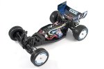 (image for) FTX EDGE - 1/10 BUGGY - RTR