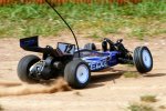 (image for) FTX Edge 1/10 Brushed RTR Electric RC Buggy