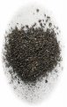 FINE SCATTER EARTH BROWN (JS31) FINE SCATTER EARTH BROWN (JS31)