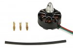 2300KV, 2204 BL CCW Motor (Crossfire) (image for) 2300KV, 2204 BL CCW Motor (Crossfire)
