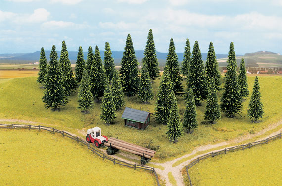 25 Model Spruce Trees - Noch