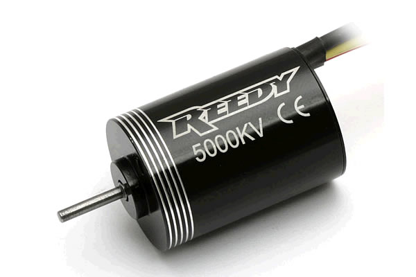 Micro Brushless Motor 8000kV - Reedy